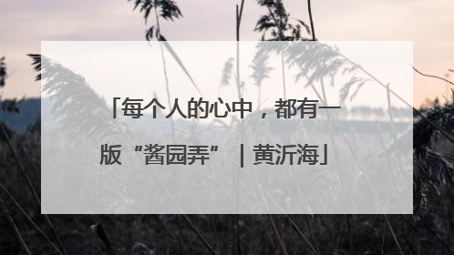 每个人的心中，都有一版“酱园弄”｜黄沂海