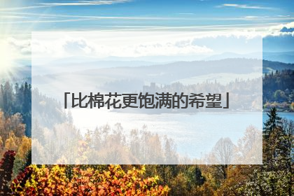 比棉花更饱满的希望