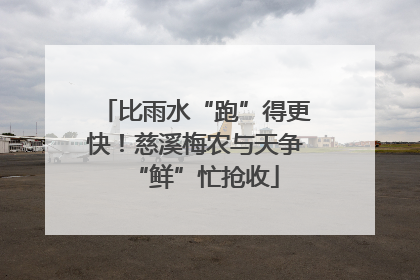 比雨水“跑”得更快！慈溪梅农与天争“鲜”忙抢收