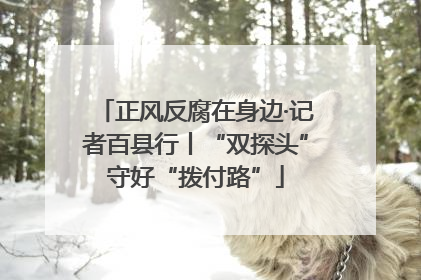 正风反腐在身边·记者百县行丨“双探头”守好“拨付路”