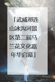 武威祁连山冰沟河景区第二届马兰花文化嘉年华启幕