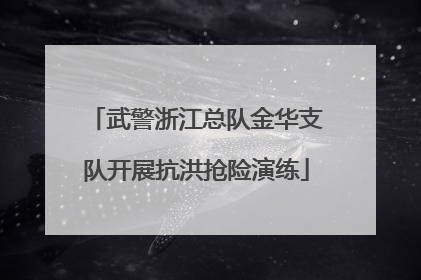 武警浙江总队金华支队开展抗洪抢险演练
