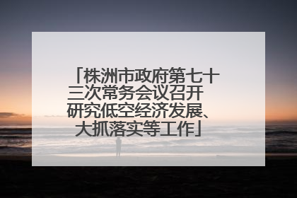 株洲市政府第七十三次常务会议召开 研究低空经济发展、大抓落实等工作