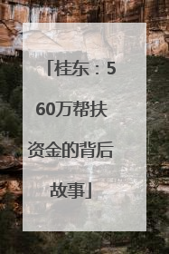桂东：560万帮扶资金的背后故事