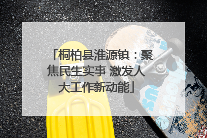 桐柏县淮源镇：聚焦民生实事 激发人大工作新动能
