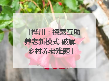 桦川：探索互助养老新模式 破解乡村养老难题