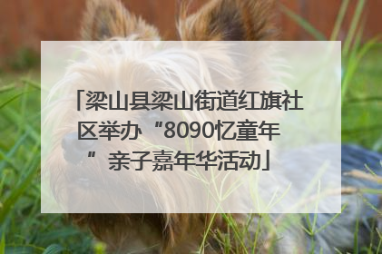 梁山县梁山街道红旗社区举办“8090忆童年”亲子嘉年华活动