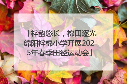 梓韵悠长，棉田逐光 绵阳梓棉小学开展2025年春季田径运动会