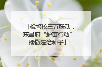 检警校三方联动，东昌府“护苗行动”播撒法治种子