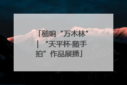 槌响“万木林”｜“天平杯·随手拍”作品展播