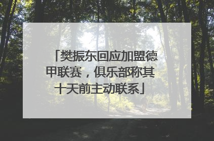 樊振东回应加盟德甲联赛，俱乐部称其十天前主动联系