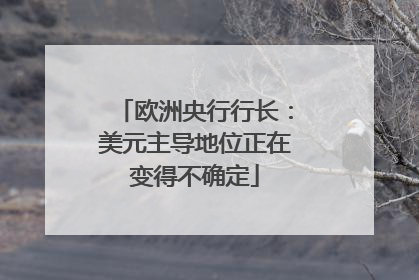 欧洲央行行长：美元主导地位正在变得不确定