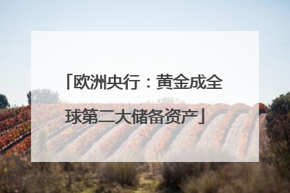 欧洲央行：黄金成全球第二大储备资产