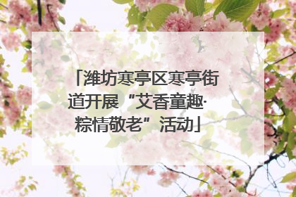 潍坊寒亭区寒亭街道开展“艾香童趣·粽情敬老”活动