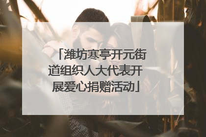 潍坊寒亭开元街道组织人大代表开展爱心捐赠活动