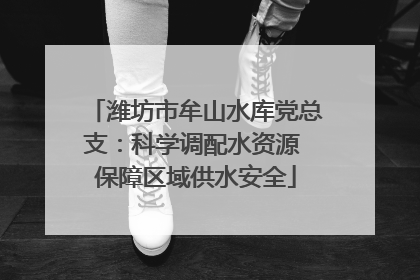 潍坊市牟山水库党总支：科学调配水资源 保障区域供水安全