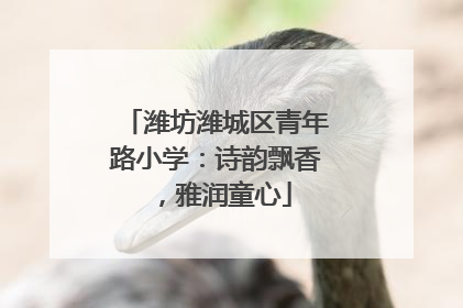 潍坊潍城区青年路小学：诗韵飘香，雅润童心