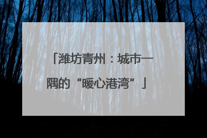 潍坊青州：城市一隅的“暖心港湾”