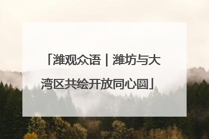潍观众语｜潍坊与大湾区共绘开放同心圆