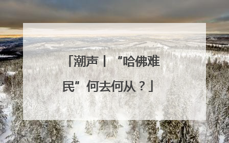 潮声丨“哈佛难民”何去何从？