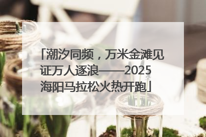 潮汐同频，万米金滩见证万人逐浪——2025海阳马拉松火热开跑