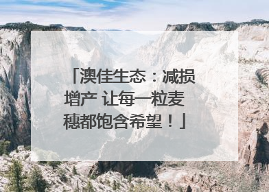 澳佳生态：减损增产 让每一粒麦穗都饱含希望！