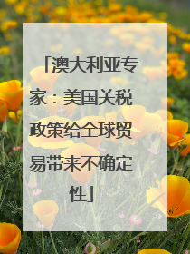 澳大利亚专家：美国关税政策给全球贸易带来不确定性