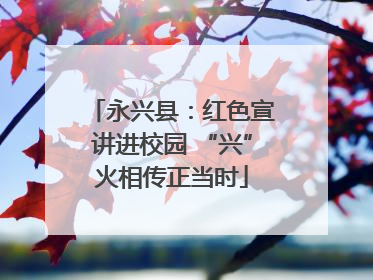 永兴县：红色宣讲进校园 “兴”火相传正当时