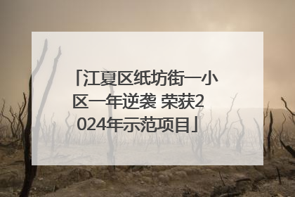 江夏区纸坊街一小区一年逆袭 荣获2024年示范项目