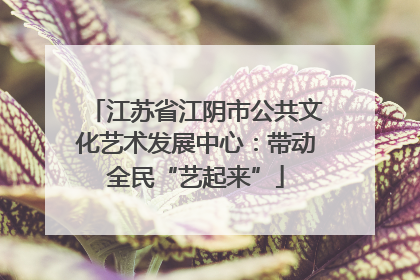江苏省江阴市公共文化艺术发展中心：带动全民“艺起来”