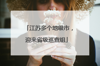 江苏多个地级市，迎来省级巡查组