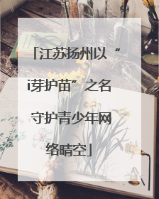 江苏扬州以“i芽护苗”之名 守护青少年网络晴空