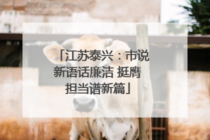 江苏泰兴：市说新语话廉洁 挺膺担当谱新篇
