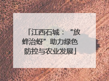 江西石城：“放蜂治蚜”助力绿色防控与农业发展