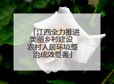 江西全力推进美丽乡村建设 农村人居环境整治成效显著
