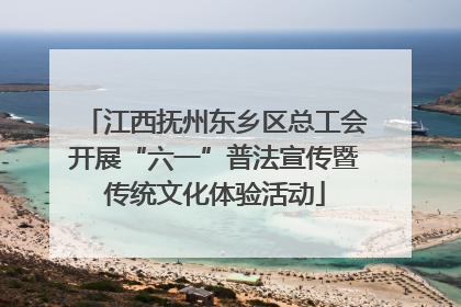 江西抚州东乡区总工会开展“六一”普法宣传暨传统文化体验活动