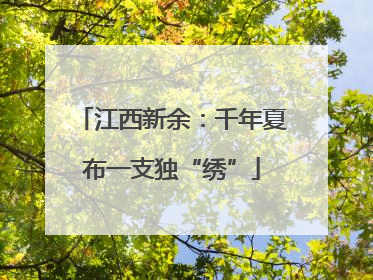 江西新余：千年夏布一支独“绣”
