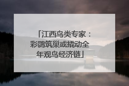 江西鸟类专家：彩鹮筑巢或撬动全年观鸟经济链