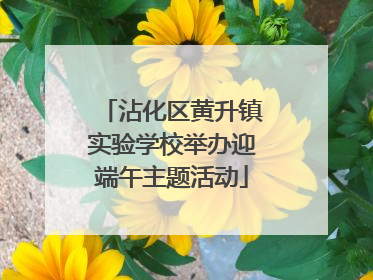 沾化区黄升镇实验学校举办迎端午主题活动