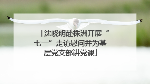沈晓明赴株洲开展“七一”走访慰问并为基层党支部讲党课