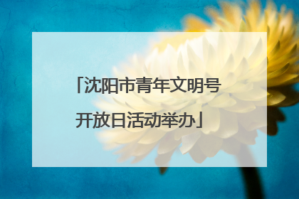 沈阳市青年文明号开放日活动举办