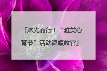 沐光而行！“雅美心育节”活动温暖收官