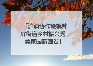 沪滇协作绘就钟屏街道乡村振兴秀美家园新画卷