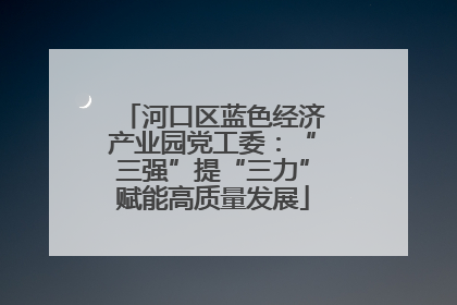 河口区蓝色经济产业园党工委：“三强”提“三力”赋能高质量发展