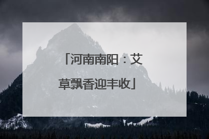 河南南阳：艾草飘香迎丰收