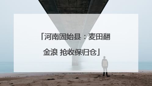 河南固始县：麦田翻金浪 抢收保归仓