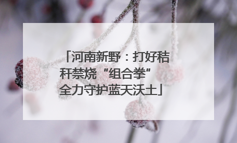 河南新野：打好秸秆禁烧“组合拳” 全力守护蓝天沃土