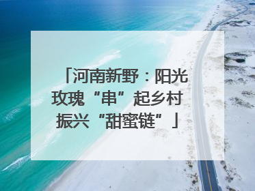 河南新野：阳光玫瑰“串”起乡村振兴“甜蜜链”