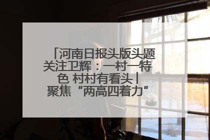 河南日报头版头题关注卫辉：一村一特色 村村有看头 ︳聚焦“两高四着力”·一“县”观察