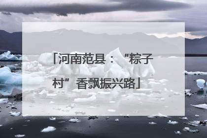 河南范县：“粽子村”香飘振兴路